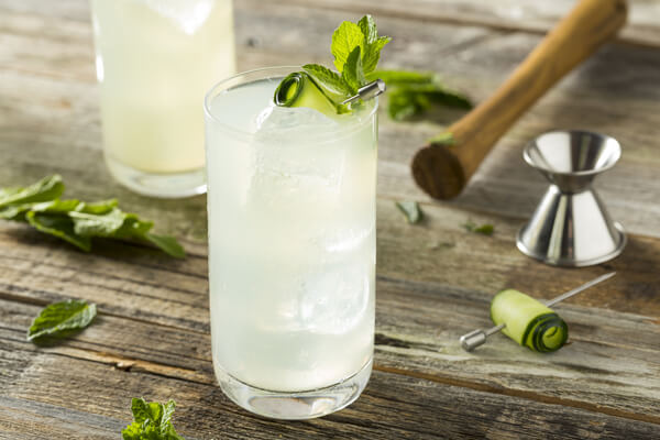 gin-fizz-cocktail-rezept