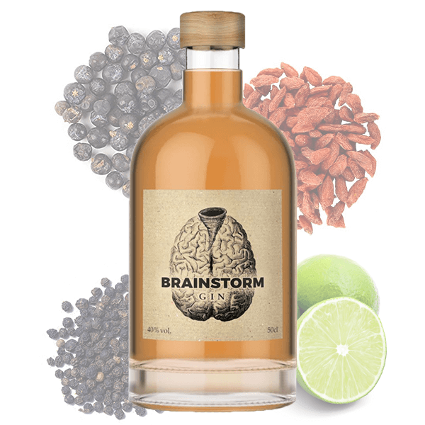 brainstorm-gin-geschmack